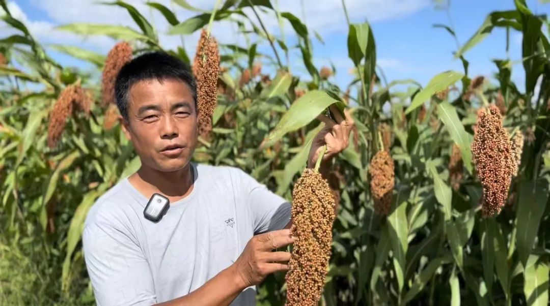 天神娱乐游戏排名